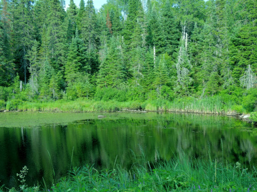 1256686 (a): :2560x1920
